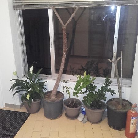 פרבזה Jennys Apartment מראה חיצוני תמונה