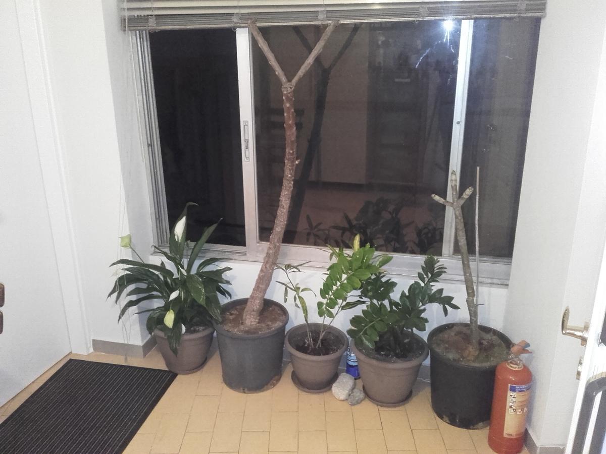 פרבזה Jennys Apartment מראה חיצוני תמונה